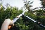 Teleskopske škare za živu ogradu 1013565 (114800) - Slika 3