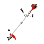 Einhell motorni trimer za travu GC-BC 30/1 I AS